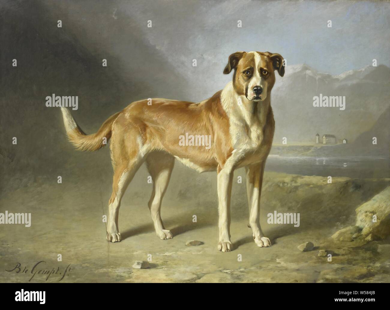 Un chien Saint Bernard, un Saint Bernard, debout dans un paysage avec des montagnes au loin., Bernard te Gempt, ch. 1850 - c. 1879, la toile, la peinture à l'huile (peinture), h 179 cm × w 248 cm × t 4 cm h 187.6 cm × w 256,6 cm × d 9,8 cm Banque D'Images