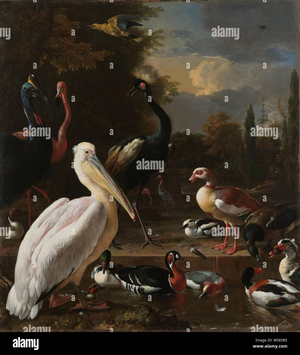 Un pélican et autres oiseaux à proximité d'une piscine, connu comme 'la plume Flottante' un pélican et autres oiseaux à proximité d'une piscine, connu comme 'la plume Flottante', un pélican et autres volailles à un bassin d'eau dans un jardin dans un spectacle connu comme 'la plume flottante'. Au premier plan le pélican, dans l'eau différents types de canards, sur la gauche un casoar, un flamant rose et d'une grue couronnée de l'Afrique de l'oiseau. Dans le ciel et dans la distance d'autres oiseaux, oiseaux d'eau : eau, pelican-birds : canard à l'eau, les oiseaux, l'eau-travaille à jardin, Melchior d'Hondecoeter, ch. 1680, la toile, la peinture à l'huile (peinture), peinture, h 159 cm × W 144 Banque D'Images