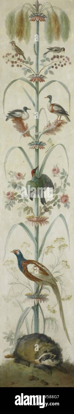 L'inscription de décoration avec des plantes et des animaux, la peinture décorative avec des plantes et des animaux. Canne stylisé avec un lien se trouvant à la base de la plante, sur les branches d'un oiseau du paradis ( ?), deux canards et autres oiseaux. les oiseaux, oiseaux d'ornement : oiseau de paradis, de bêtes de proie, les animaux prédateurs : blaireau, anonyme, France, 1760 - 1799, la toile, la peinture à l'huile (peinture), h 218 cm × w 47 cm × 3.5 cm × t w 8 kg h 226,6 cm × w 55,6 cm × d 9,8 cm Banque D'Images