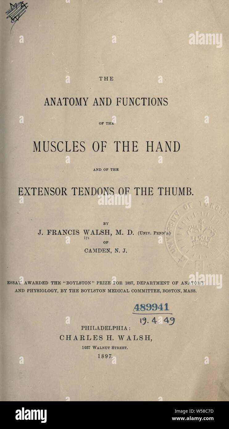 L'anatomie et les fonctions des muscles de la main et de l'extensor les tendons du pouce : Walsh, J. Francis Banque D'Images
