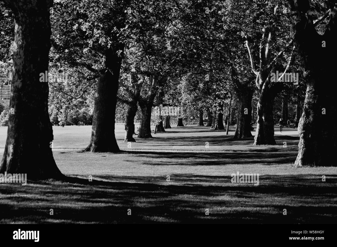 Hyde Park à Londres, au Royaume-Uni. Banque D'Images
