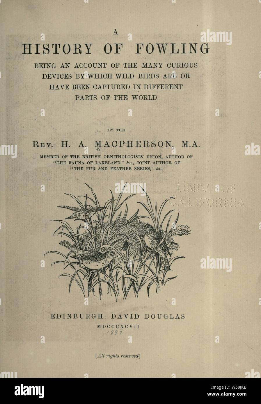 Une histoire de fusils ; être un compte des nombreux curieux dispositifs par lesquels les oiseaux sauvages sont ou ont été capturés dans différentes parties du monde : MACPHERSON, Hugh Alexander Banque D'Images