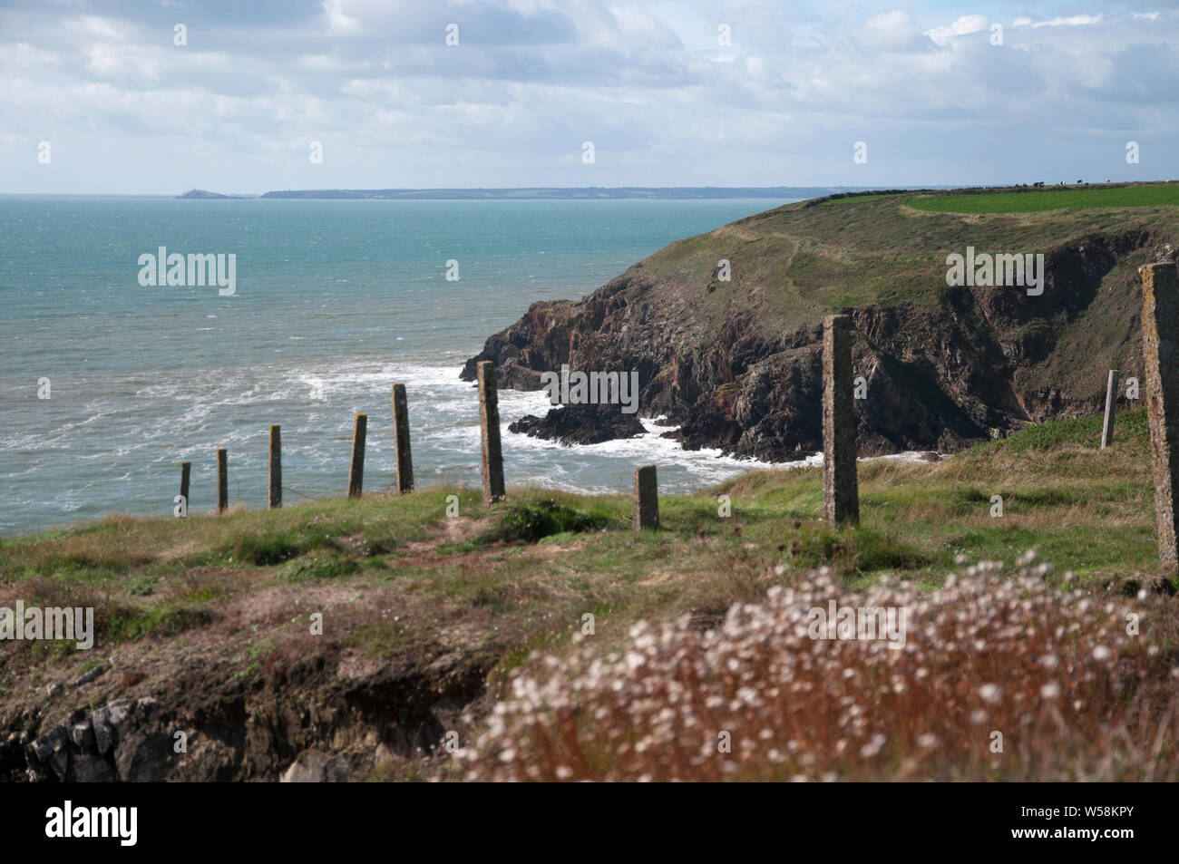 Falaises rocheuses sur la côte de l'Irlande, couvert de fleurs et d'une vieille clôture Banque D'Images