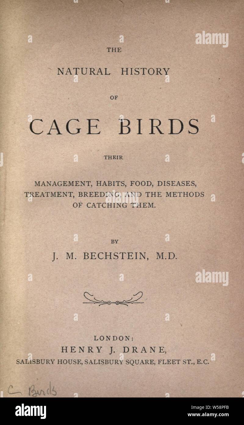L'histoire naturelle des oiseaux de cage, de leur gestion, des habitudes, de l'alimentation, les maladies, le traitement, l'élevage, et les méthodes de les attraper : Johann Matthäus Bechstein,, 1757-1822 Banque D'Images