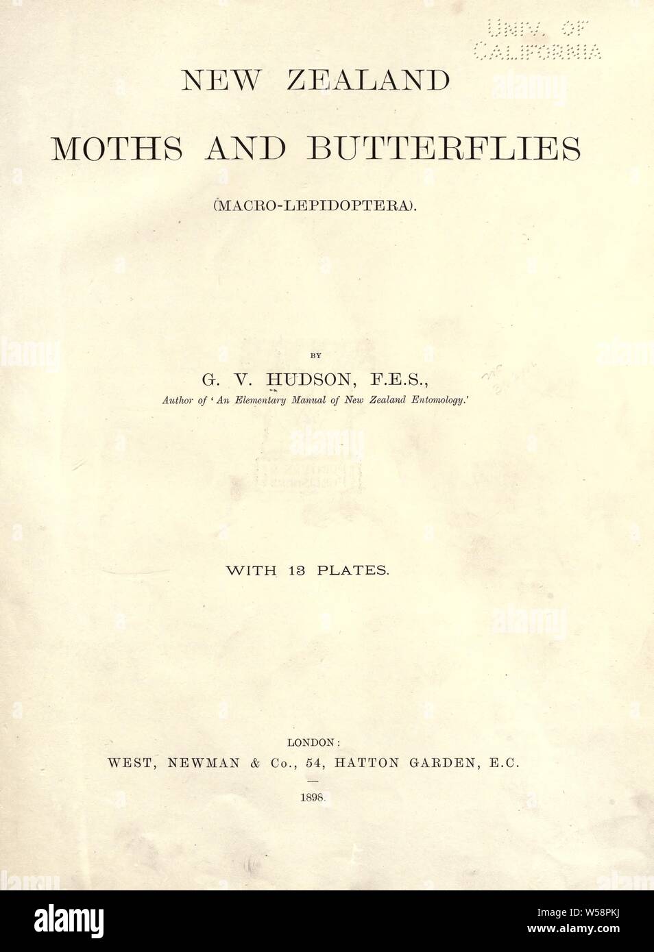 La Nouvelle-Zélande des mites et des papillons (lépidoptères) : Macro-Hudson, G. C. (George Vernon Banque D'Images