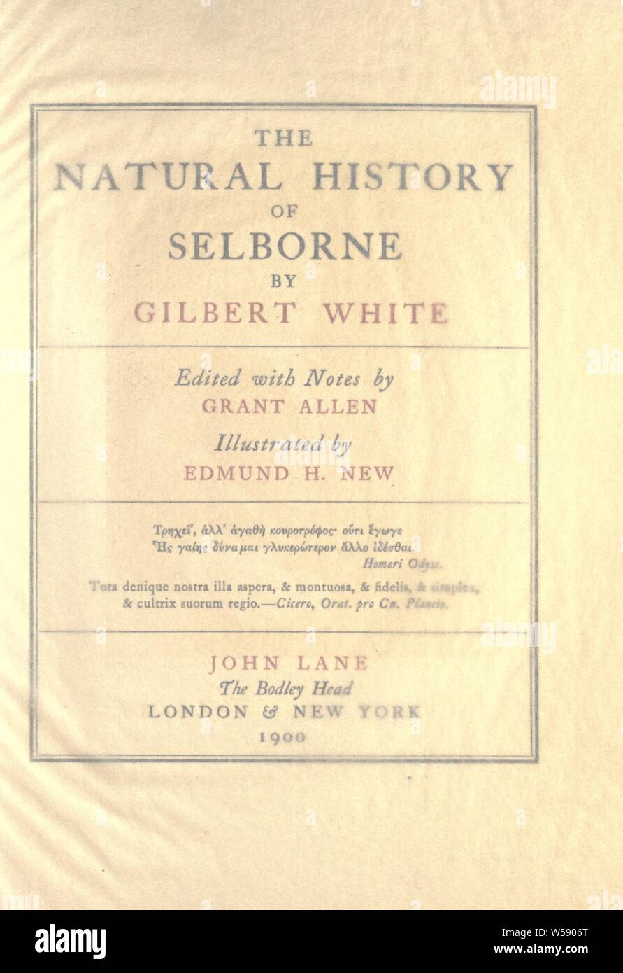 L'histoire naturelle de Selborne : Blanc, Gilbert, 1720-1793 Banque D'Images