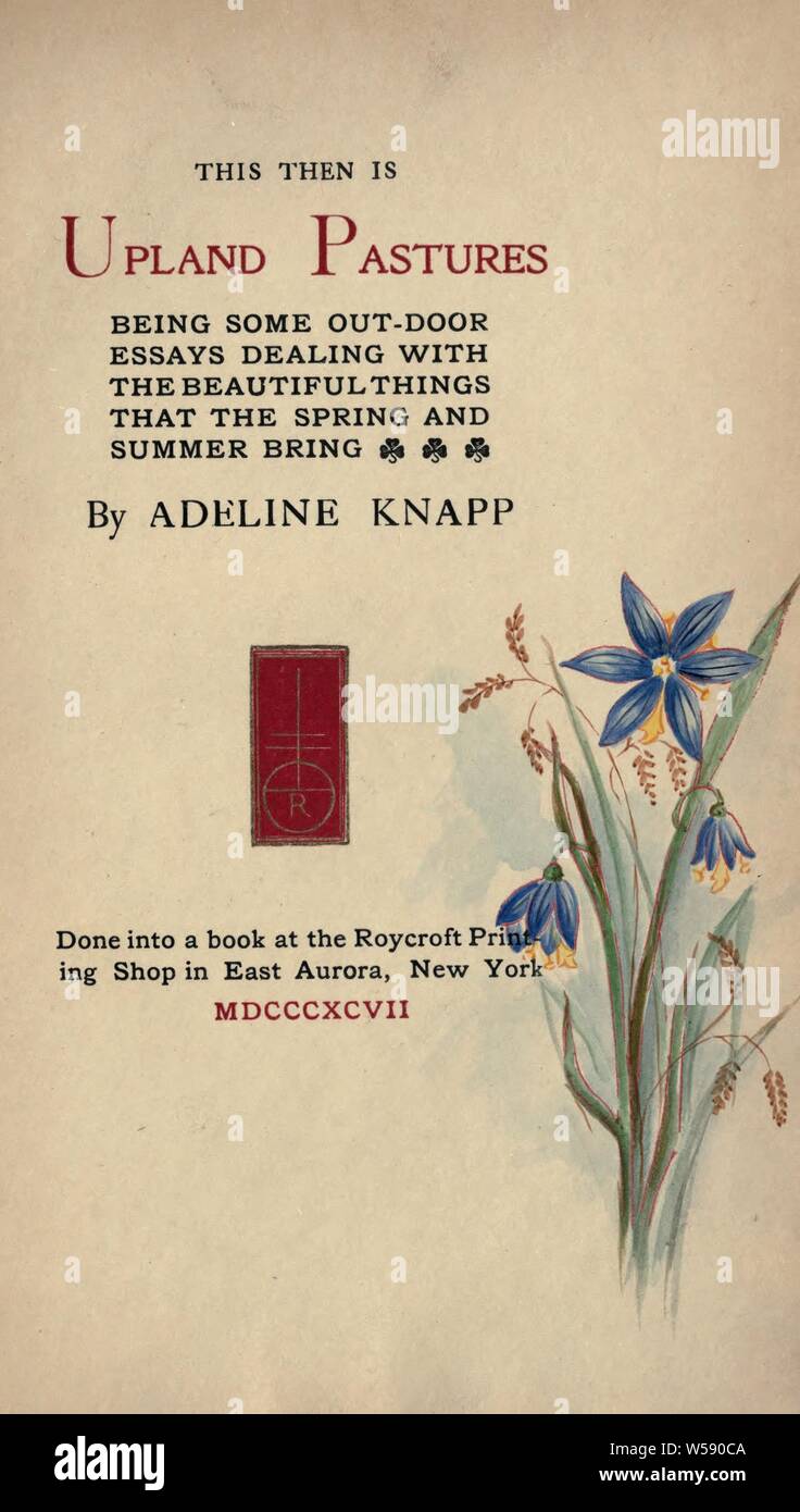 C'est ensuite des pâturages de montagne : être un out-door essais traitant des belles choses que le printemps et l'été apporter : Knapp, Adeline, 1860-1909 Banque D'Images