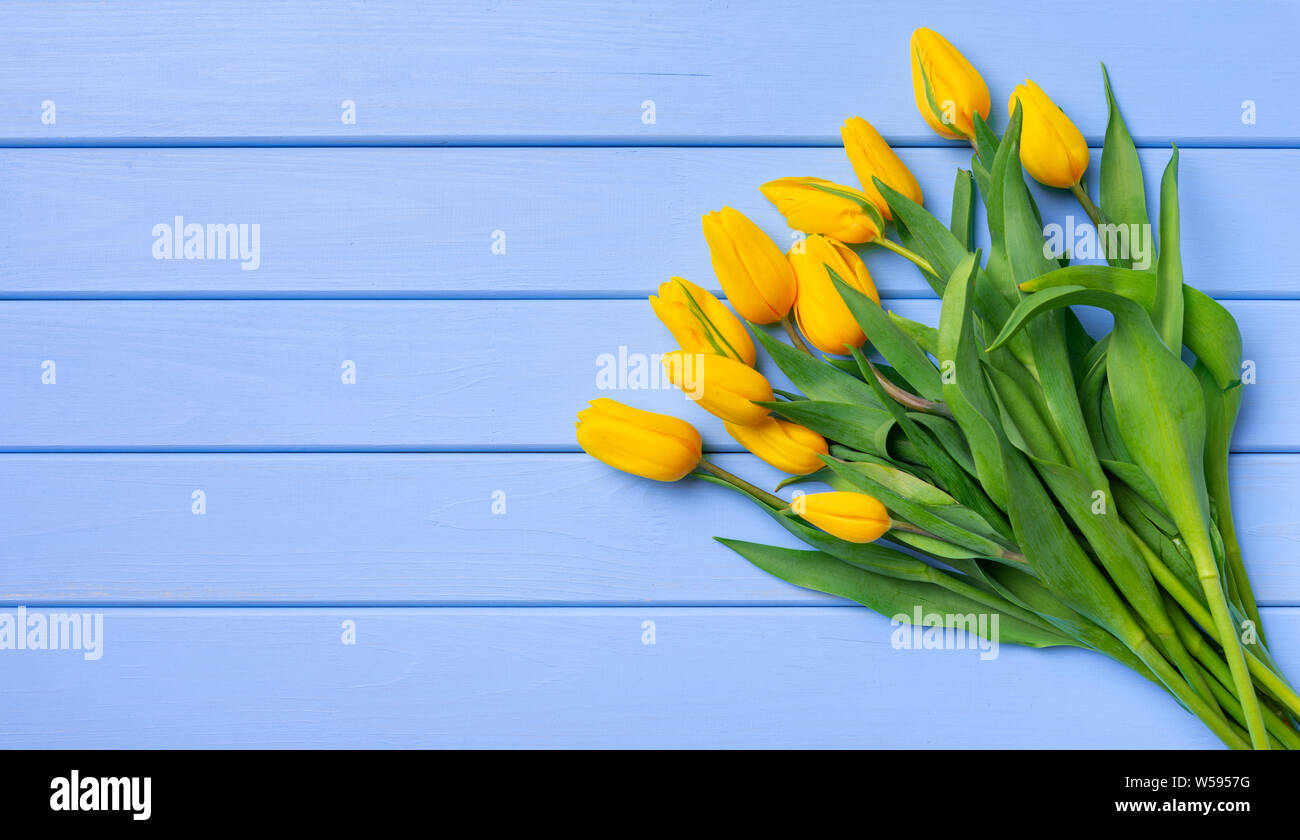 Un bouquet de tulipes jaunes sur une table de planches de bois bleu. Banque D'Images