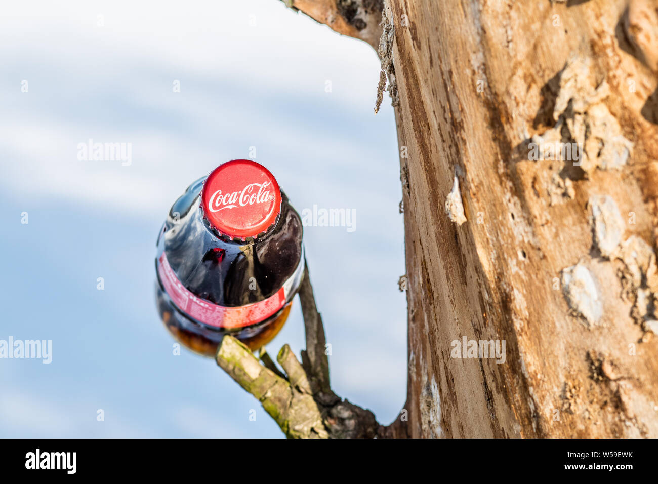 Bouteille de Coca Cola Classic, Coca-Cola Company est le leader du marché les plus populaires, de boissons gazeuses, d'hiver Banque D'Images