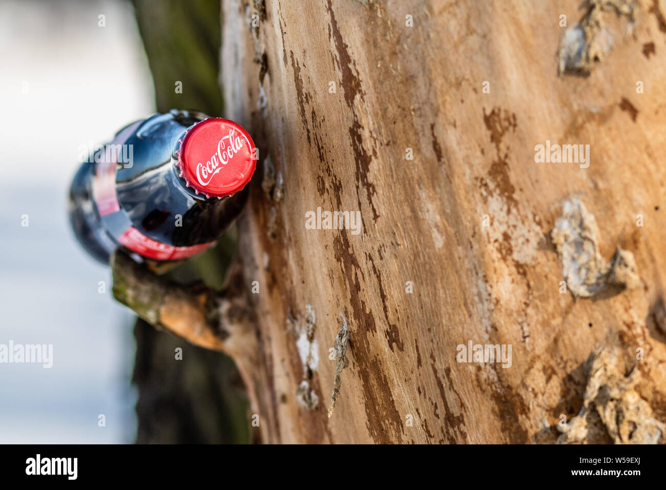 Bouteille de Coca Cola Classic, Coca-Cola Company est le leader du marché les plus populaires, de boissons gazeuses, d'hiver Banque D'Images