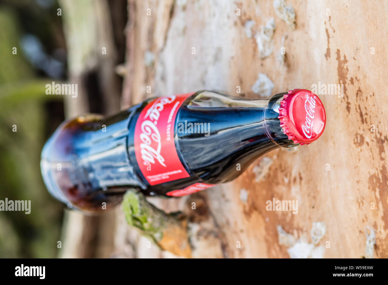 Bouteille de Coca Cola Classic, Coca-Cola Company est le leader du marché les plus populaires, de boissons gazeuses, d'hiver Banque D'Images