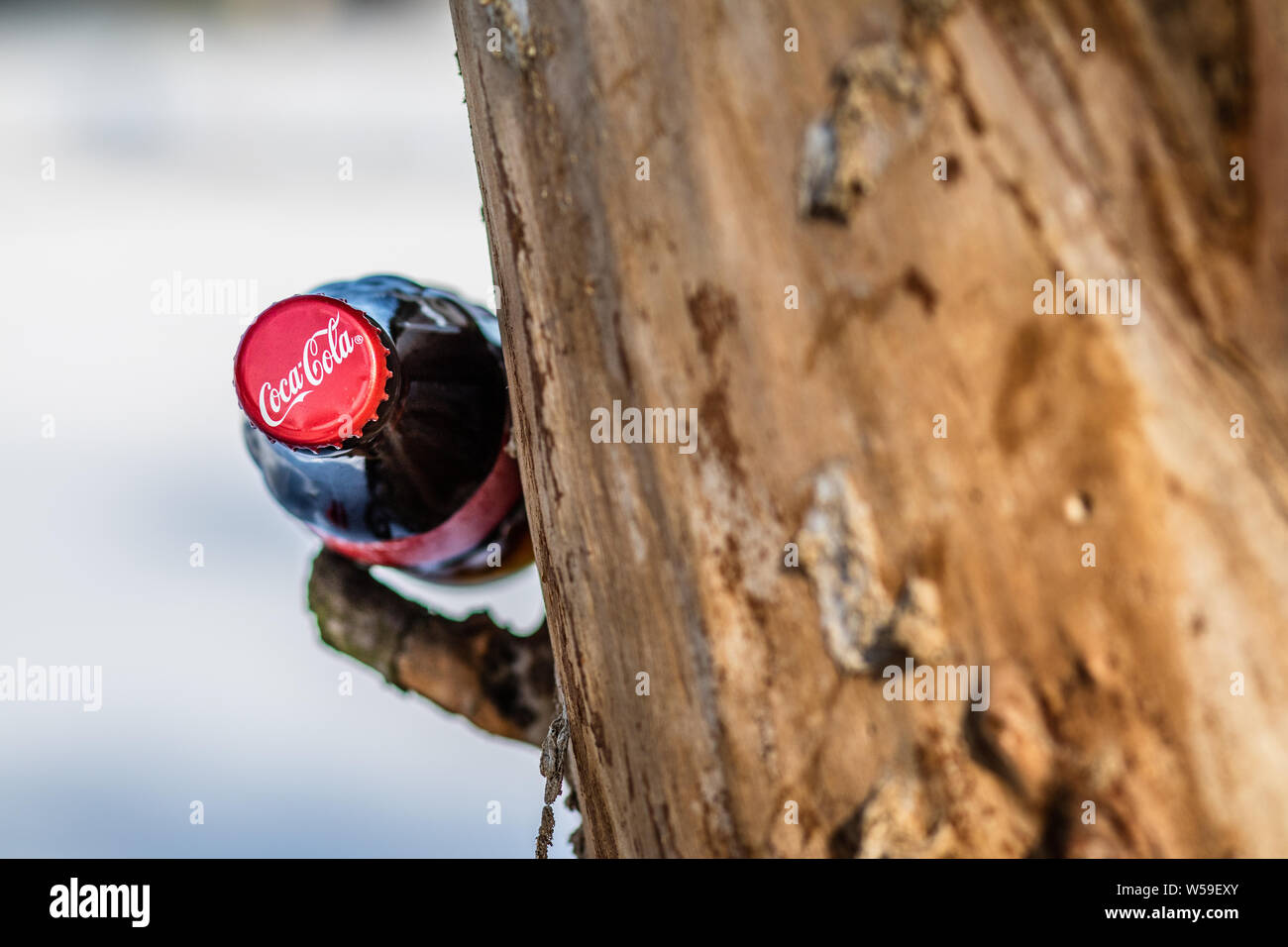 Bouteille de Coca Cola Classic, Coca-Cola Company est le leader du marché les plus populaires, de boissons gazeuses, d'hiver Banque D'Images