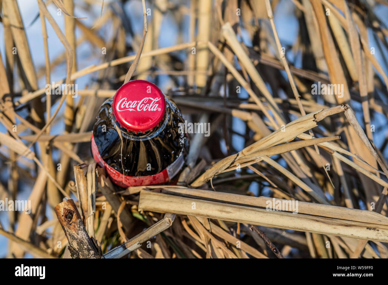 Bouteille de Coca Cola Classic, Coca-Cola Company est le leader du marché les plus populaires, de boissons gazeuses, d'hiver Banque D'Images