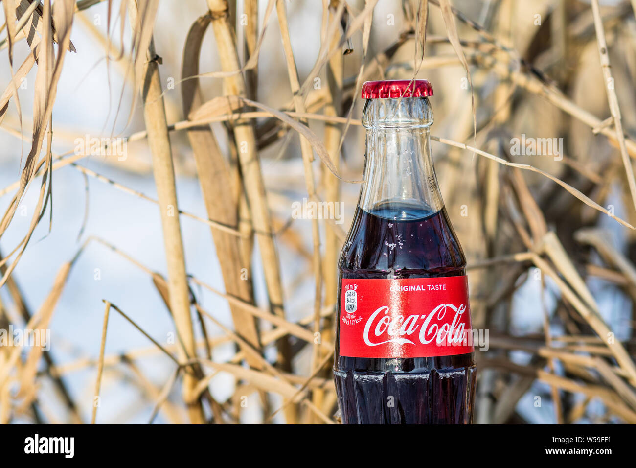 Bouteille de Coca Cola Classic, Coca-Cola Company est le leader du marché les plus populaires, de boissons gazeuses, d'hiver Banque D'Images