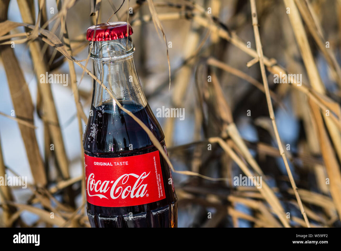 Bouteille de Coca Cola Classic, Coca-Cola Company est le leader du marché les plus populaires, de boissons gazeuses, d'hiver Banque D'Images