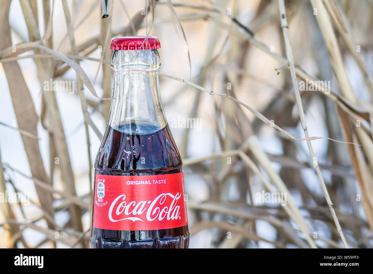 Bouteille de Coca Cola Classic, Coca-Cola Company est le leader du marché les plus populaires, de boissons gazeuses, d'hiver Banque D'Images