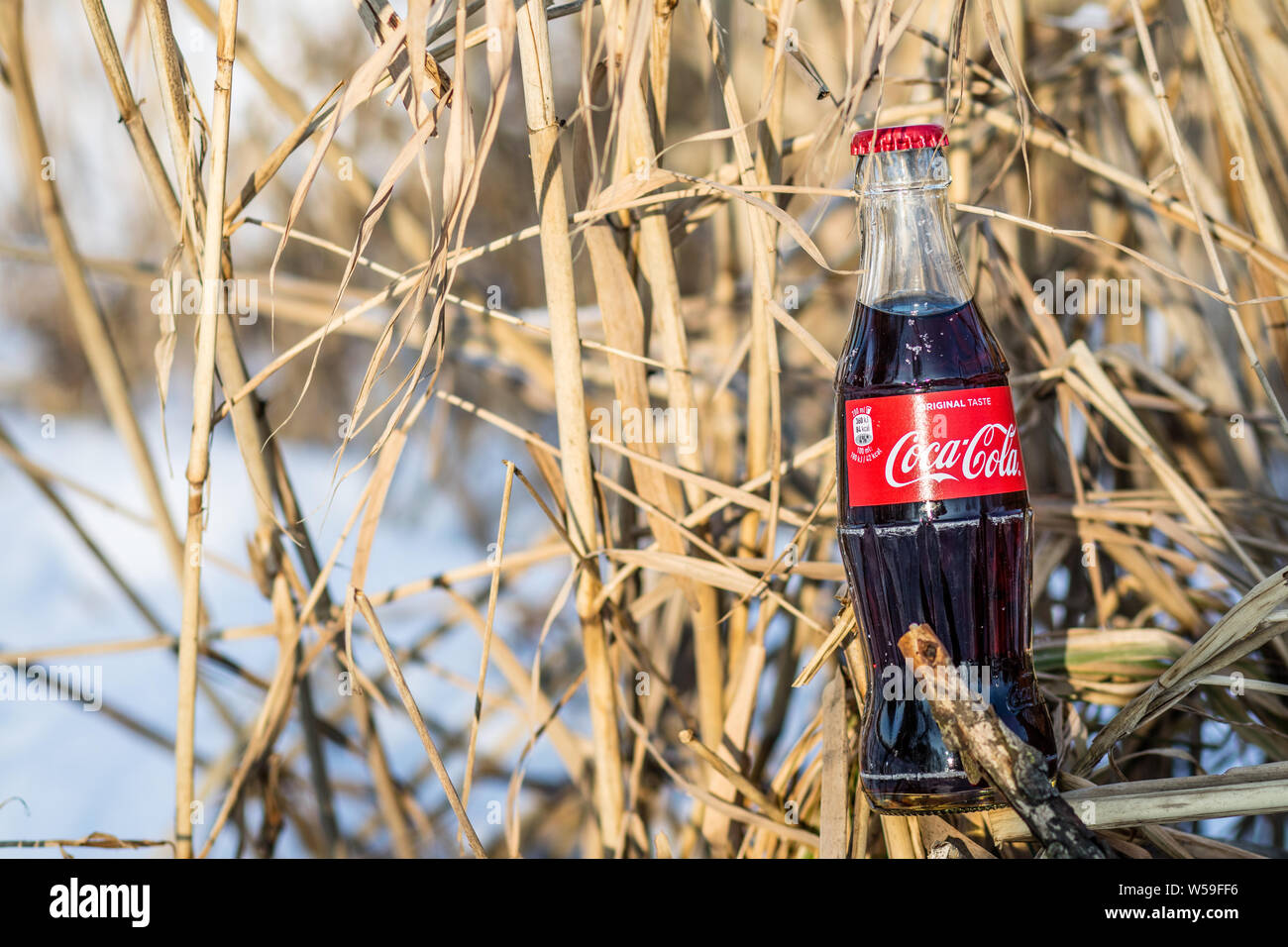 Bouteille de Coca Cola Classic, Coca-Cola Company est le leader du marché les plus populaires, de boissons gazeuses, d'hiver Banque D'Images