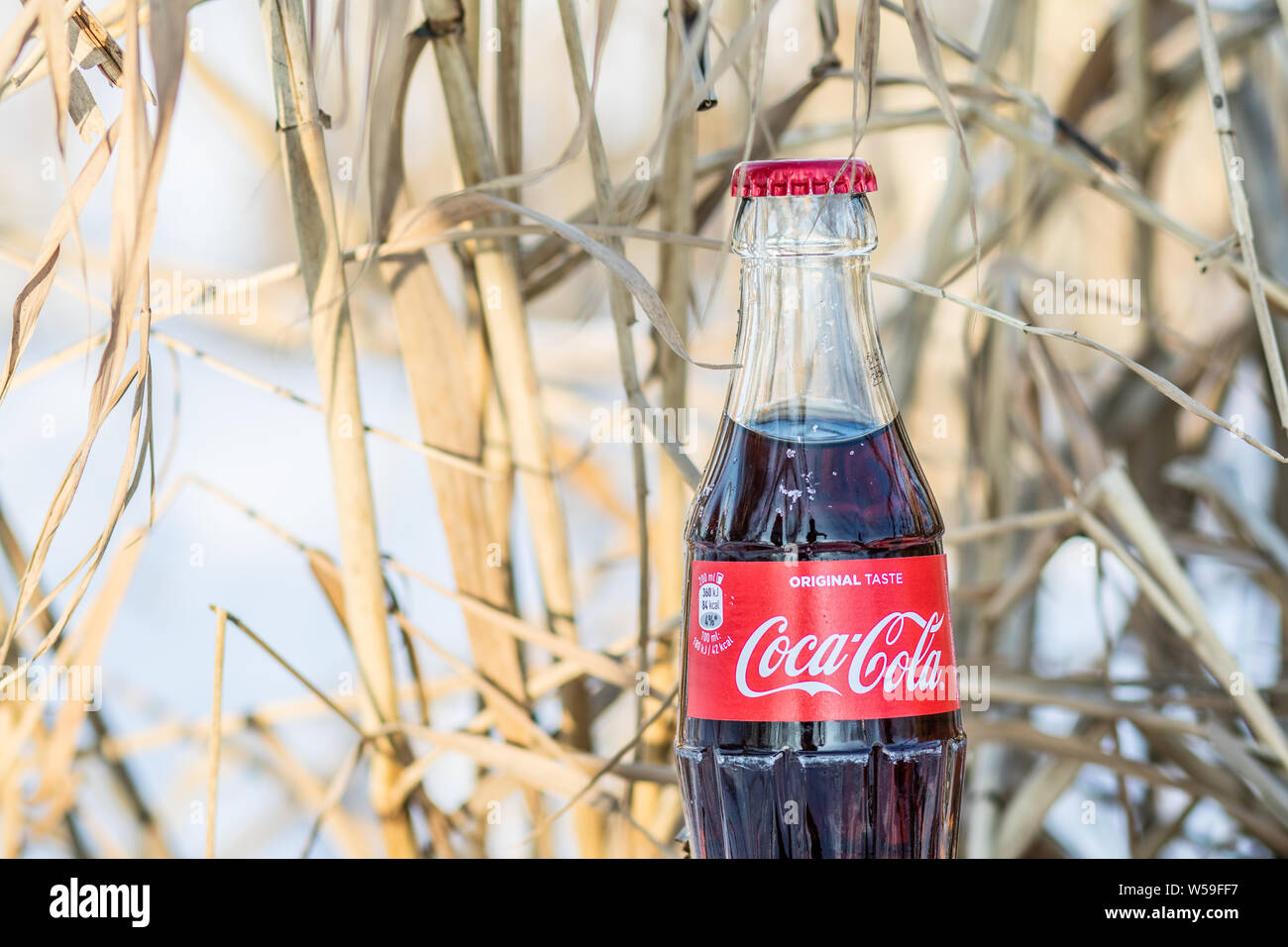 Bouteille de Coca Cola Classic, Coca-Cola Company est le leader du marché les plus populaires, de boissons gazeuses, d'hiver Banque D'Images