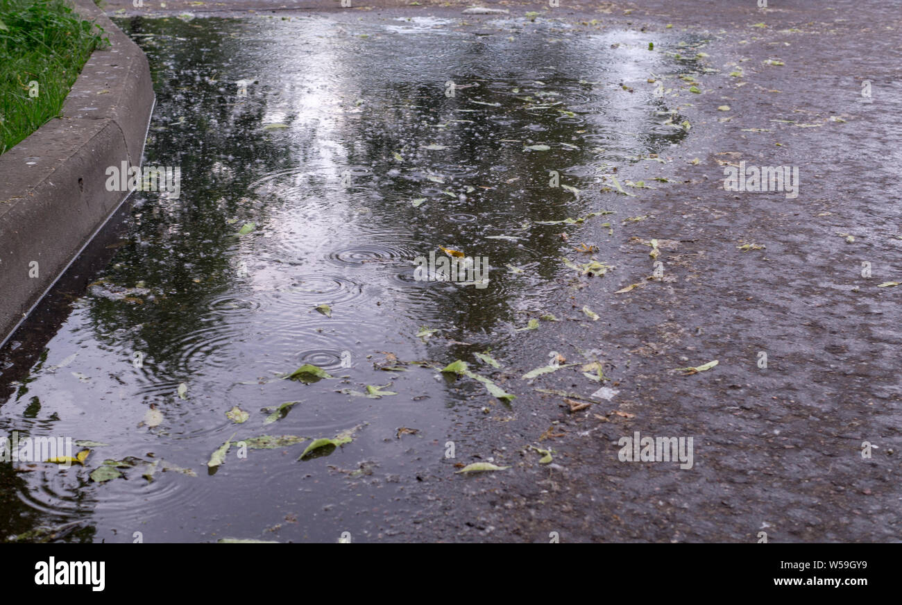Les feuilles et les ondulations sur la flaque à la pluie dans le parc d'été. arrière-plan, la nature. Banque D'Images