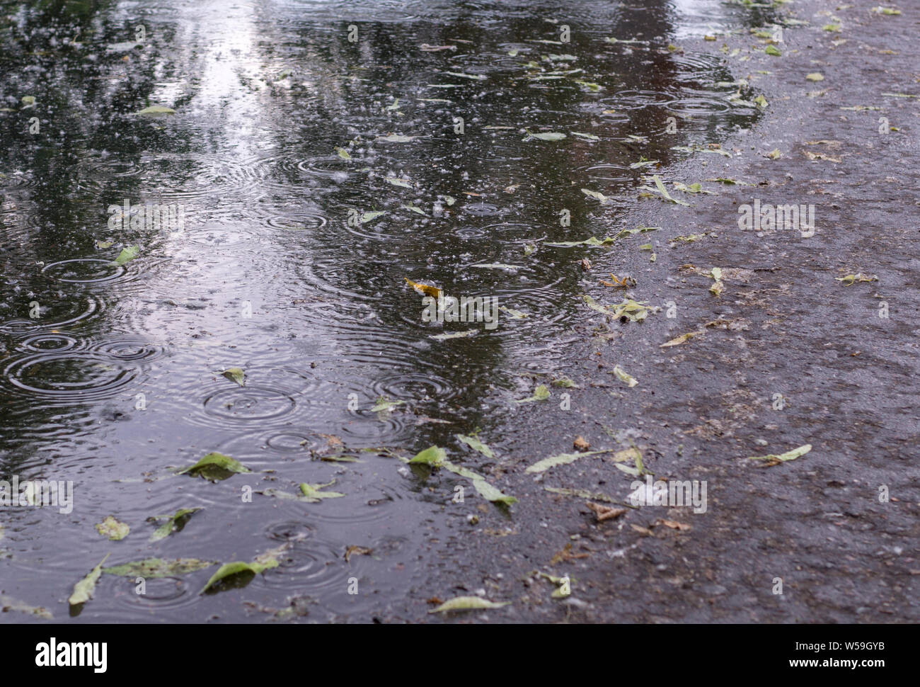 Les feuilles et les ondulations sur la flaque à la pluie dans le parc d'été. arrière-plan, la nature. Banque D'Images