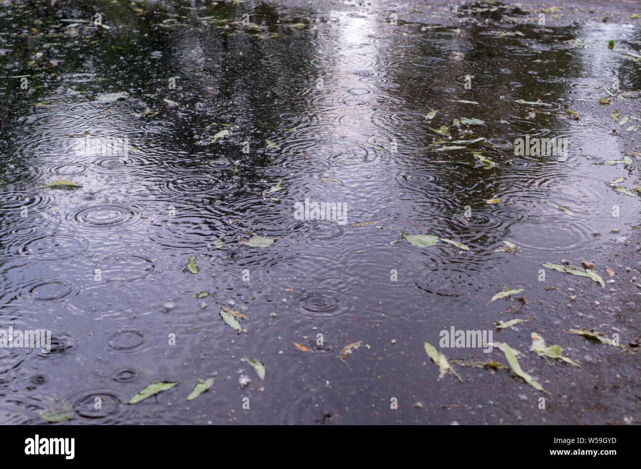 Les feuilles et les ondulations sur la flaque à la pluie dans le parc d'été. arrière-plan, la nature. Banque D'Images
