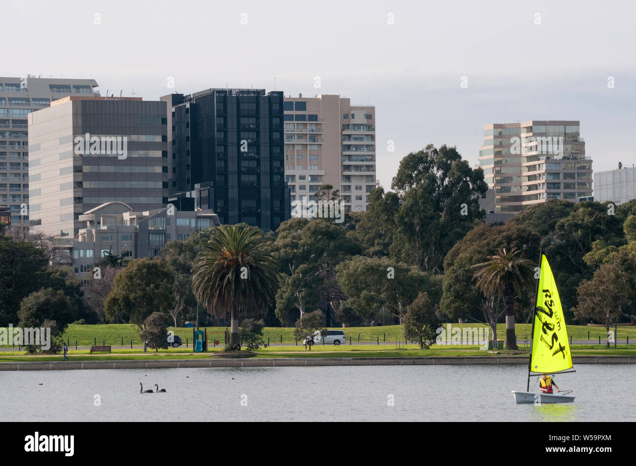 St Kilda Road vu les bureaux au-delà d'un marin solitaire sur le lac d'Albert Park, Melbourne, Australie Banque D'Images