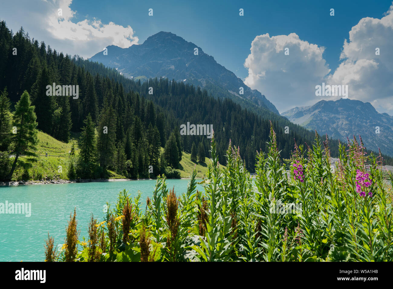 Paysage de montagne d'été avec lac turquoise et fleurs sauvages dans les Alpes Suisses près de Arosa Banque D'Images
