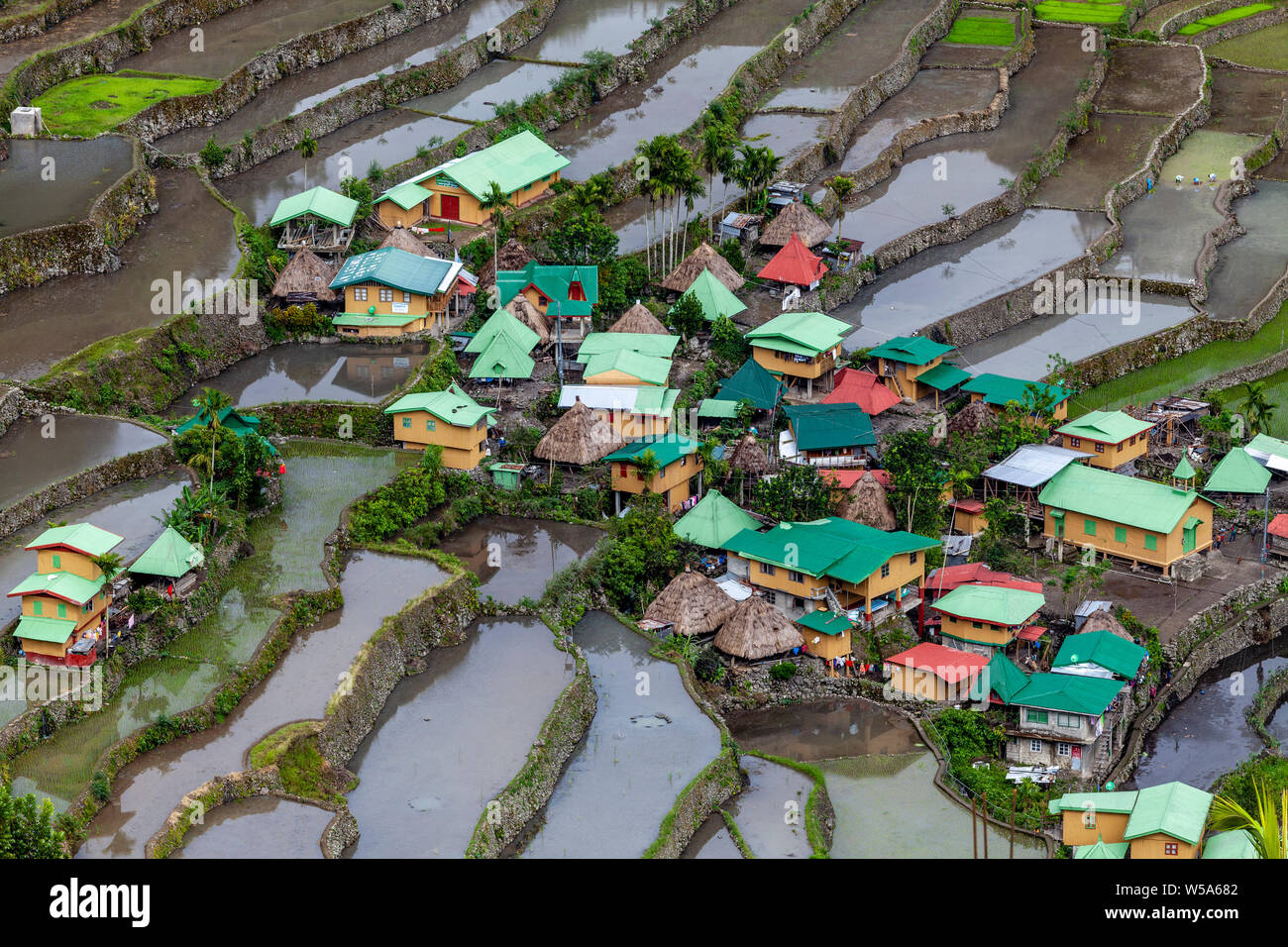 Une vue du village de Batad Rizières en terrasses et ses environs, région de Banaue, Luzon, Philippines Banque D'Images