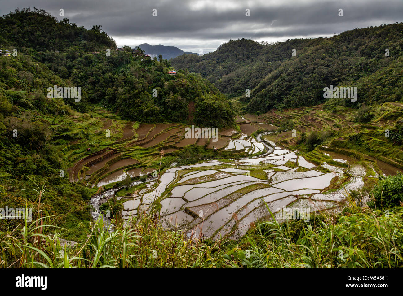 La cordillère des montagnes et rizières en terrasses près de Batad, Luzon, Philippines Banque D'Images