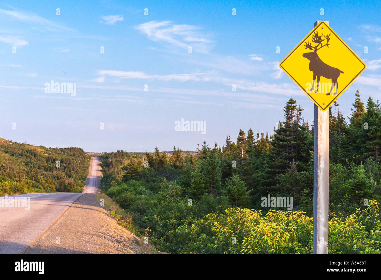 Moose crossing road sign, Terre-Neuve, Canada Banque D'Images