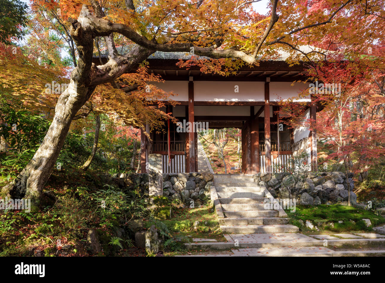 Automne couleur dans Jojakko-ji dans de Arashiyama, Kyoto, Japon. Banque D'Images