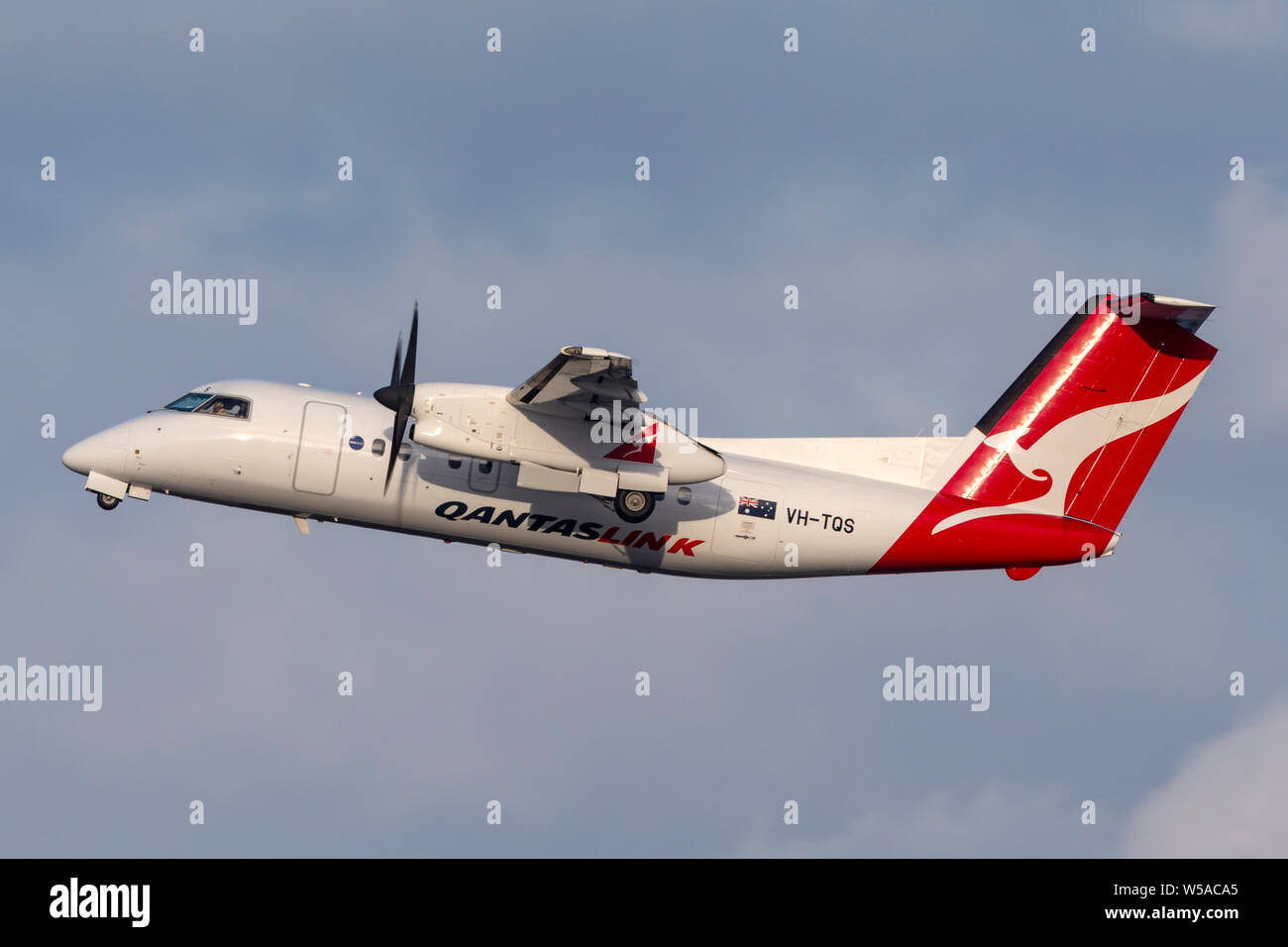 QantasLink (Est de l'Australie Airlines) de Havilland Canada Dash 8 lits 1 turbopropulseurs avion régional (ipern Banque D'Images