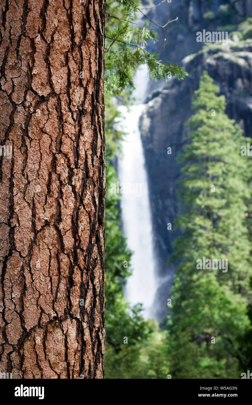 Yosemite National Park, California, USA Banque D'Images