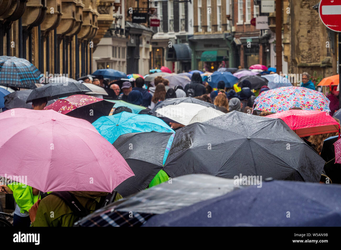 Les touristes à Cambridge Summer Rain - les rues de Cambridge UK sont thonged avec les touristes et les acheteurs de parapluies lors de fortes pluies après une longue période de sécheresse Banque D'Images