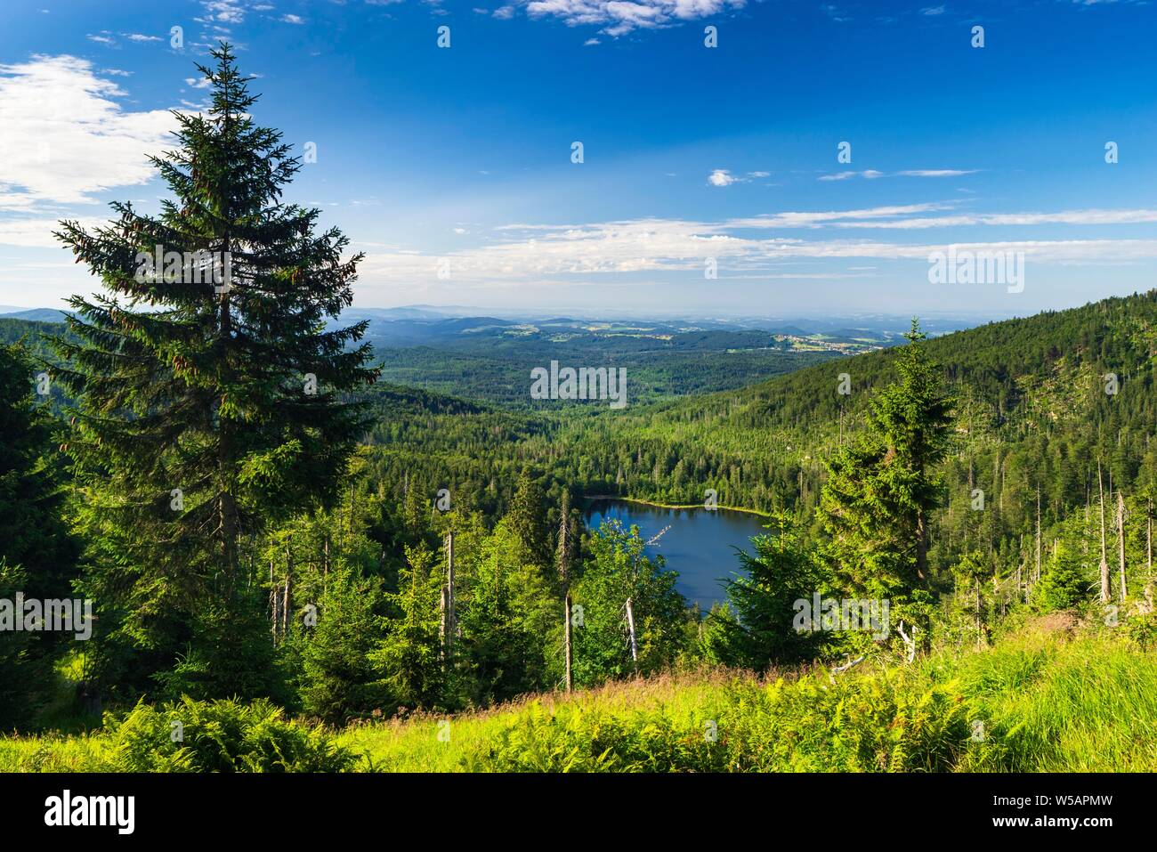 Vue sur le lac de Rachel, Parc National de la forêt bavaroise, Bavière, Allemagne Banque D'Images