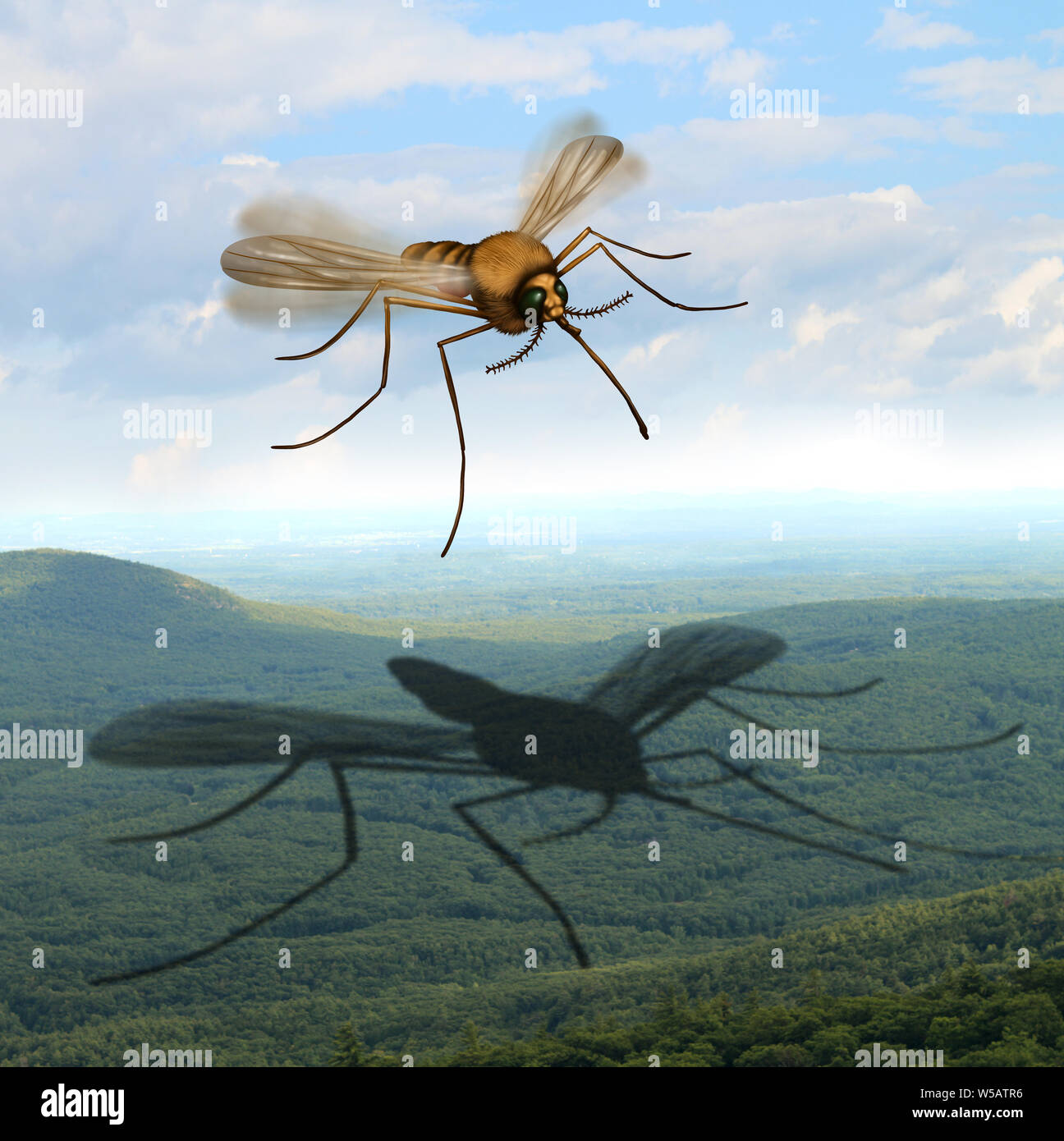 Danger de moustiques la peur et le risque de moustiques à l'extérieur de la transmission des infections nuisibles comme le paludisme et zika virus comme un insecte casting. Banque D'Images