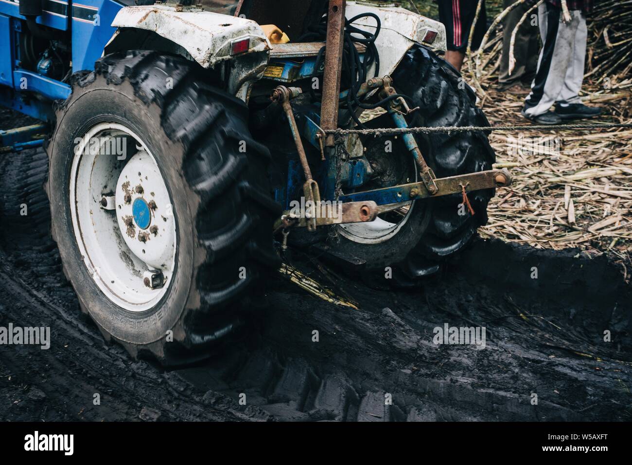 Gros plan d'un pneu de tracktor bleu et noir dans le champ agricole. Banque D'Images