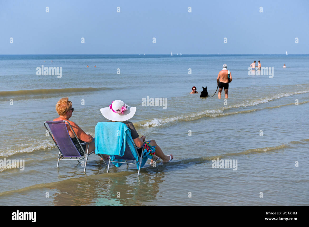 Deux dames âgées de soleil en vous détendre chaises / chaises de plage et de couple avec bassin pour chien dans l'eau le long de la côte de la mer du Nord pendant la vague de chaleur Banque D'Images