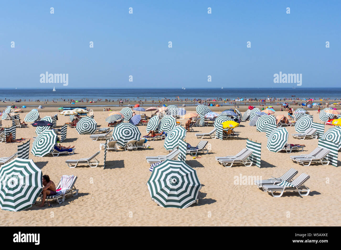 Vous pourrez vous détendre dans le soleil des chaises à l'ombre des parasols sur la plage de station balnéaire de la côte de la mer du Nord en Belgique pendant la vague de chaleur en été en Belgique Banque D'Images