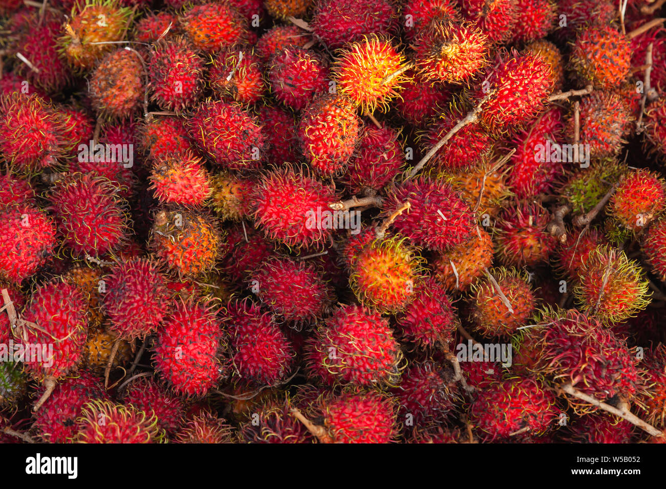 Ramboutans fruits rouges mises sur un compteur de marché. Nephelium lappaceum est un arbre tropical de la famille des Sapindaceae Banque D'Images