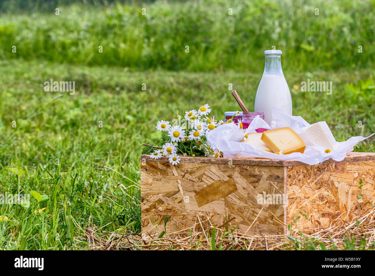 Produits laitiers Lait, yogourt fromage servi à table de pique-nique dans une ferme à fromages caws en arrière-plan Banque D'Images