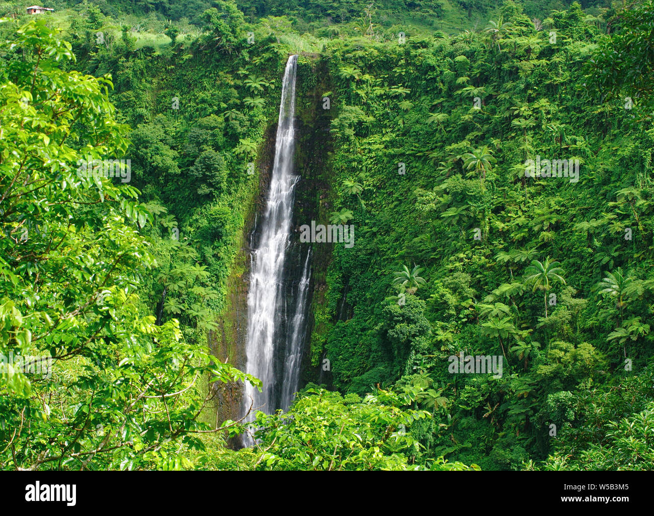 Papapaitai Falls Western Samoa Banque D'Images
