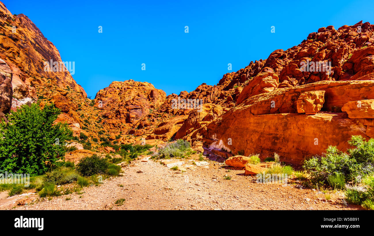 Vue sur le montagnes de grès rouge du sentier à l'Ange Gardien pic dans Red Rock Canyon National Conservation Area près de Las Vegas, Nevada, États-Unis Banque D'Images