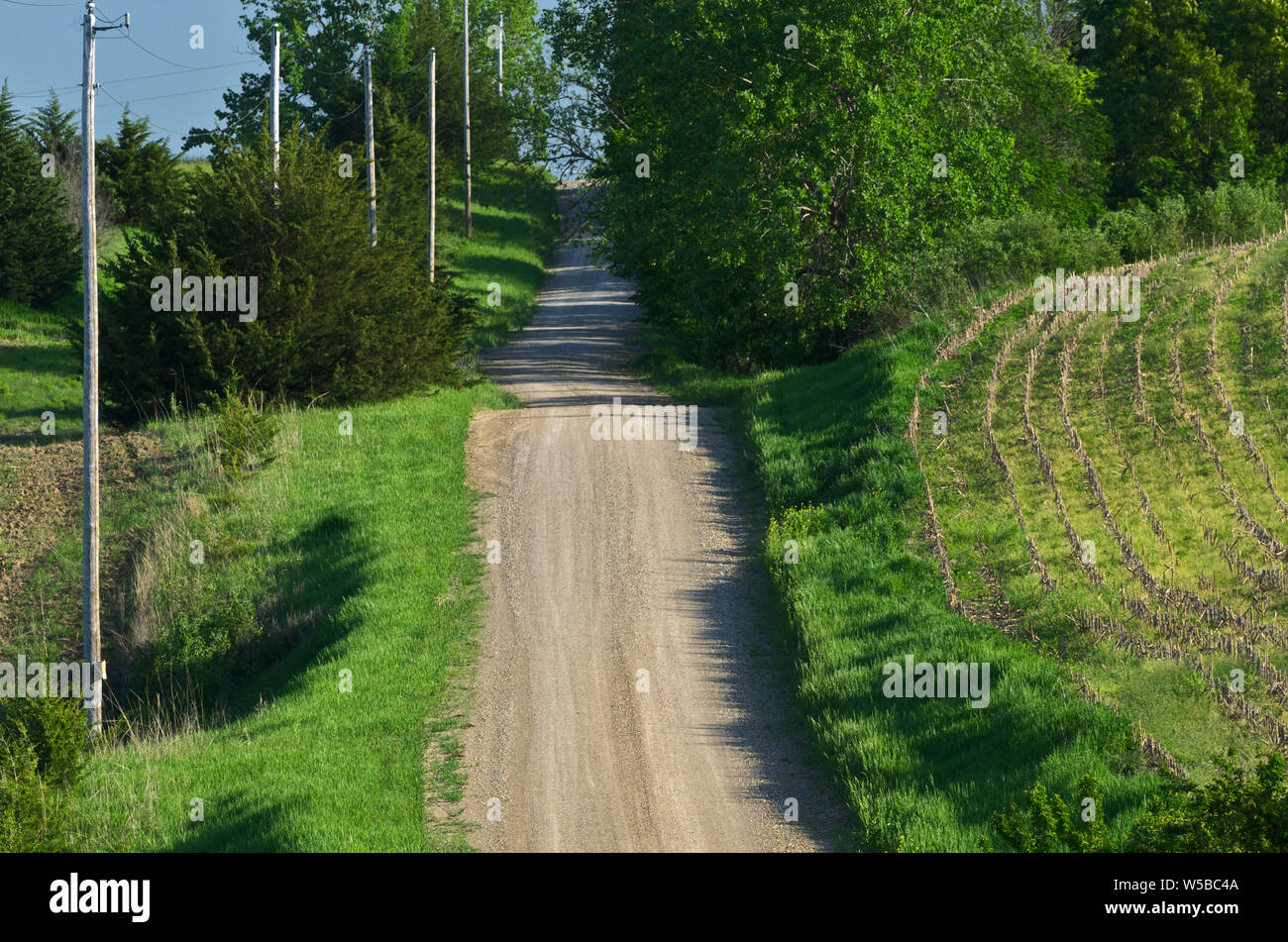 KS : Comté de Doniphan, Wathena, Région de la rivière Missouri, Campagne, une route de gravier traverse les terres agricoles près de la rivière Missouri Banque D'Images