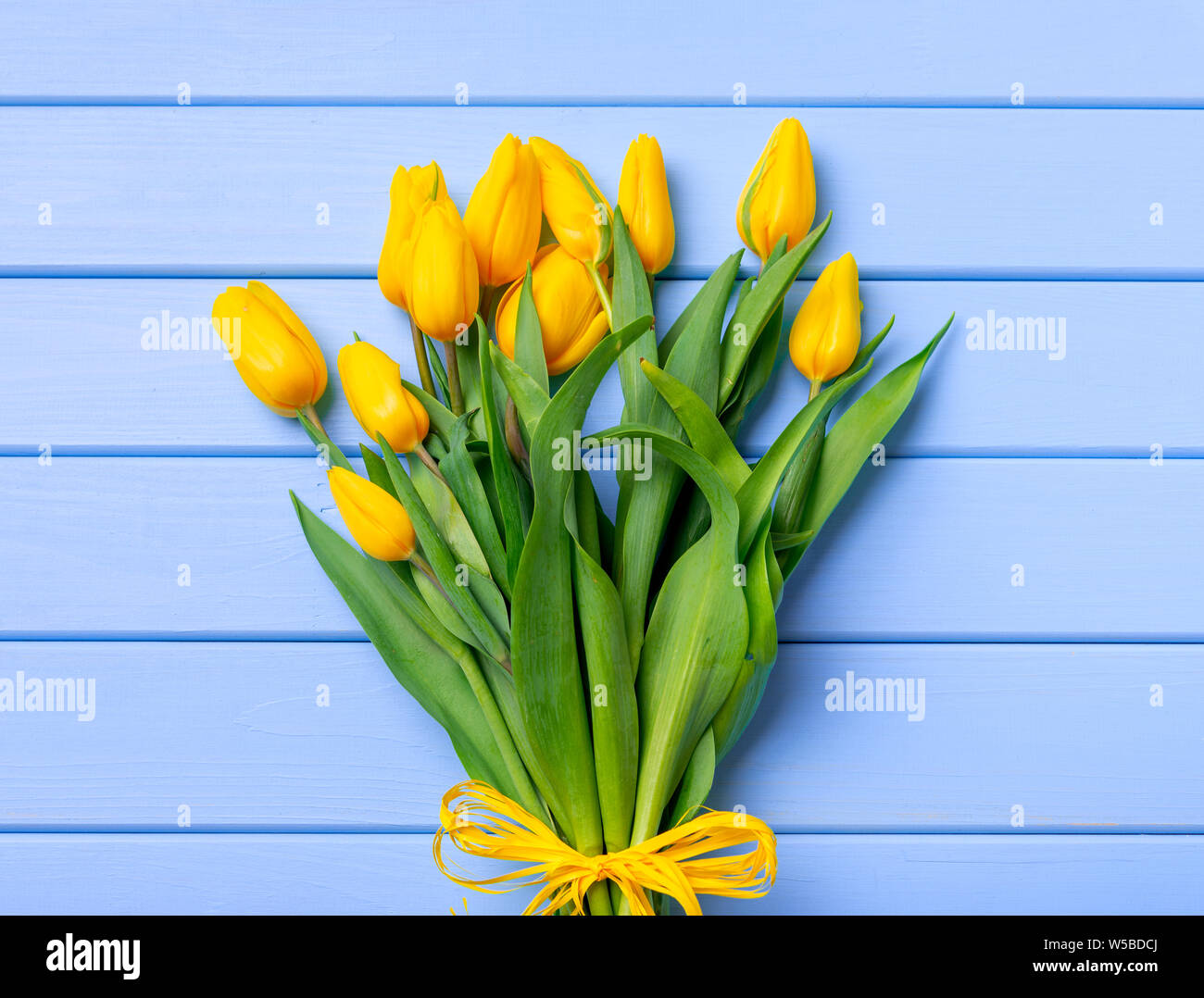 Un bouquet de tulipes jaunes sur une table de planches de bois bleu. Banque D'Images