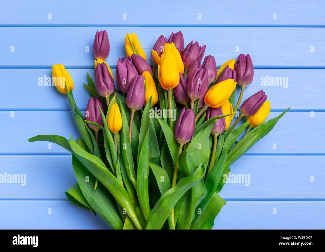 Un bouquet de tulipes sur une table de planches de bois bleu. Banque D'Images