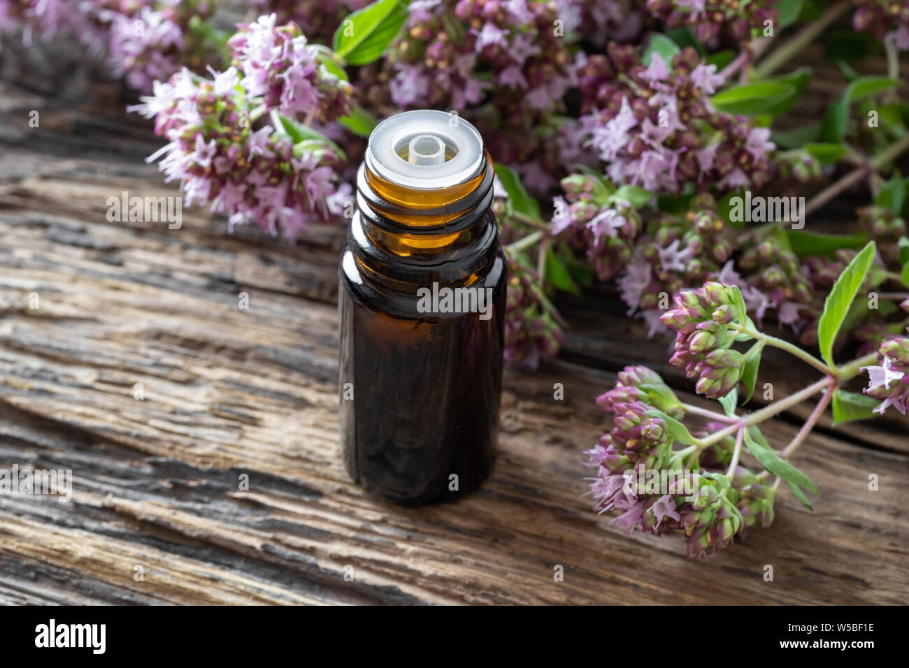 Une bouteille d'huile essentielle de thym en fleurs sur une table en bois Banque D'Images