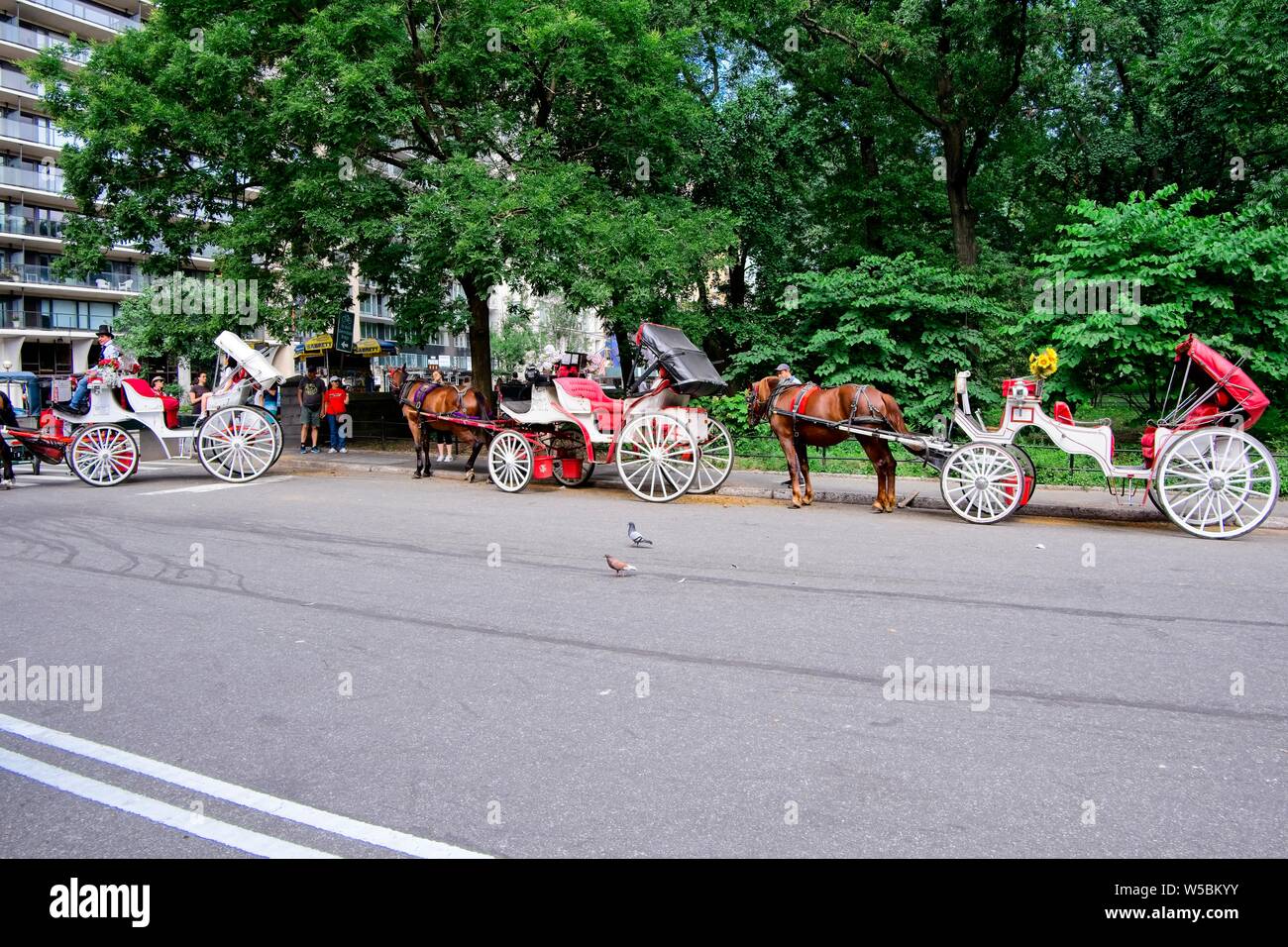 Central Park NYC chariots et cyclo Banque D'Images