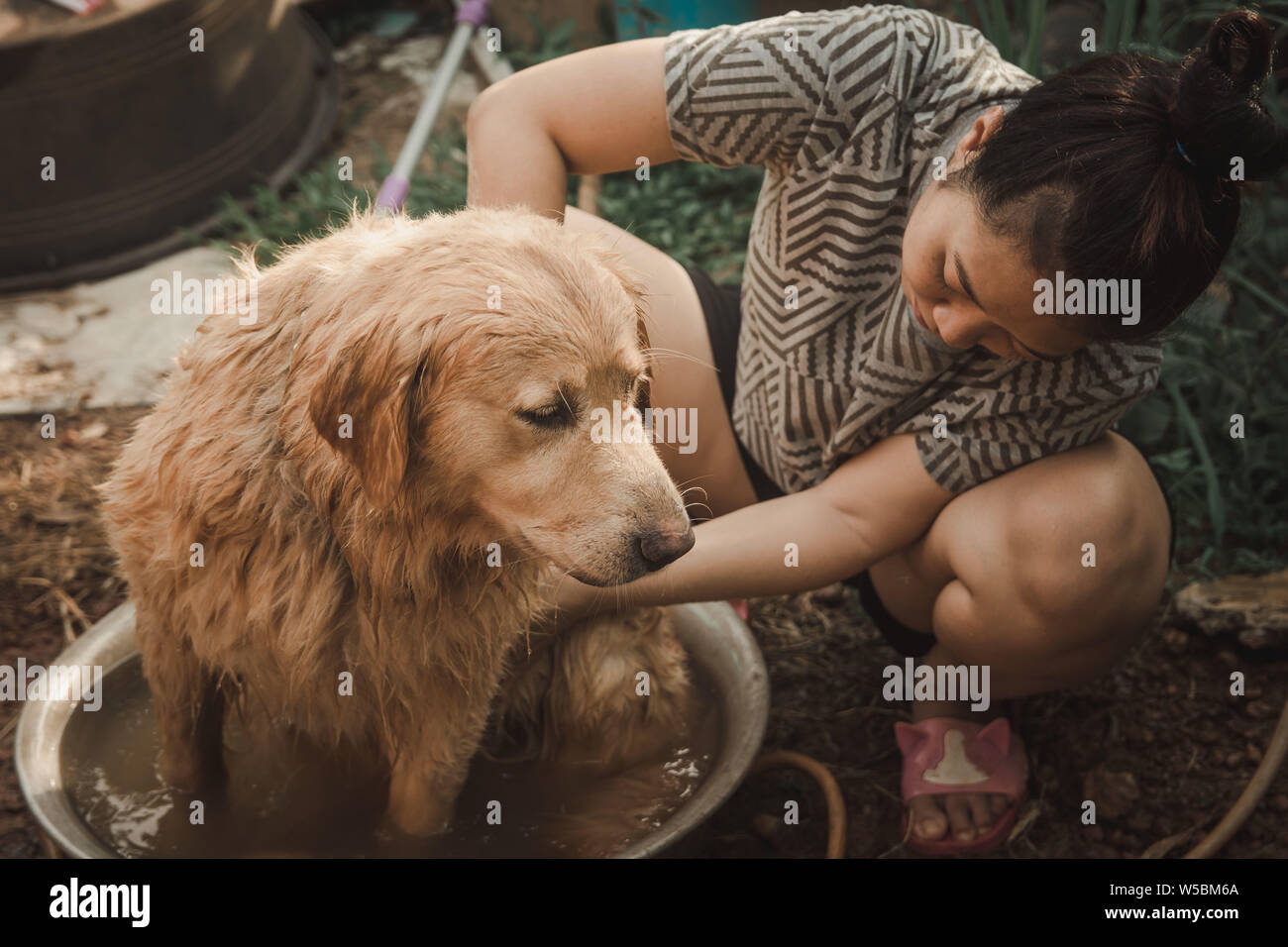 Echelle de chien, une femme est Echelle pour son chien golden retriever. Banque D'Images
