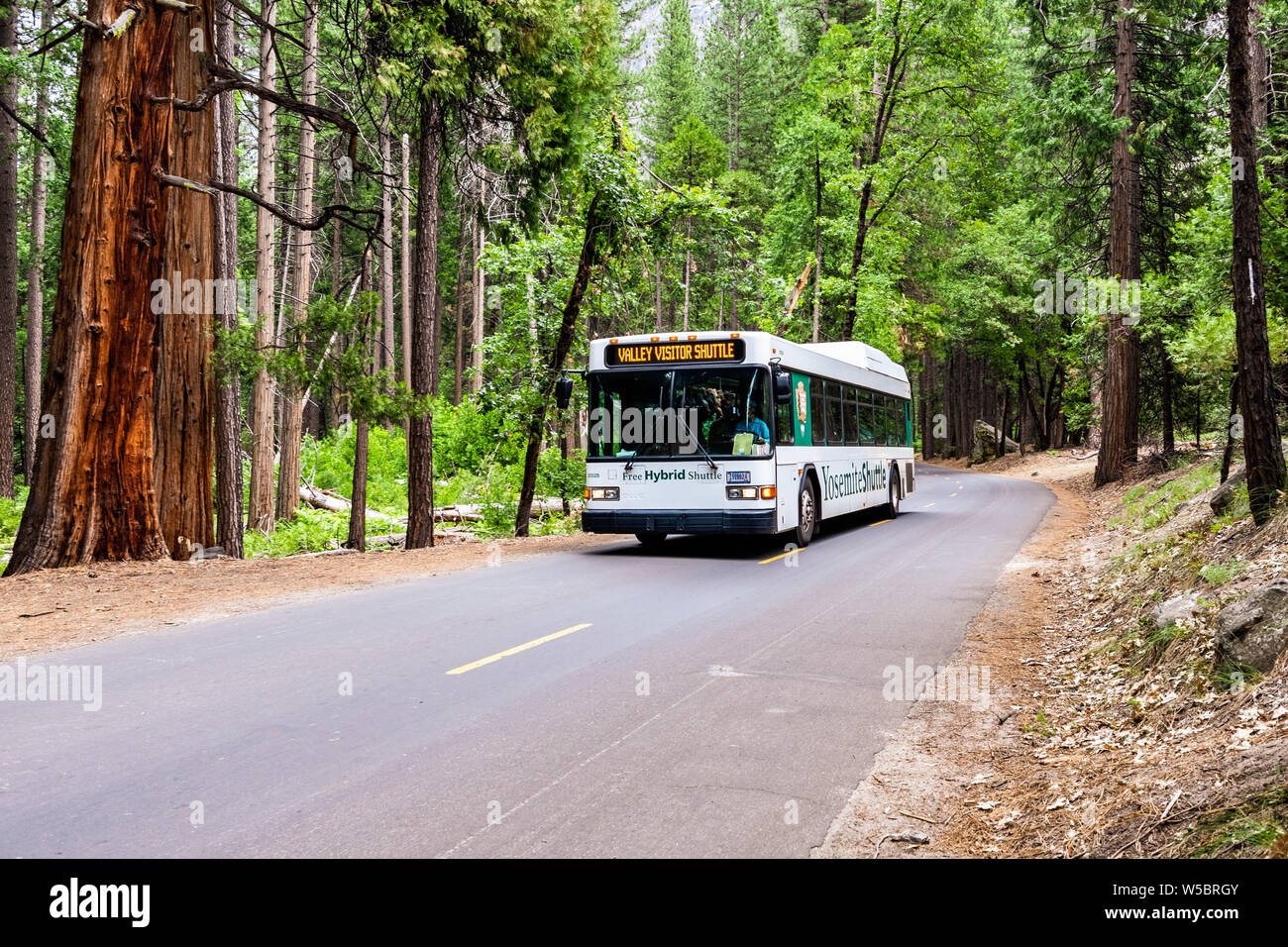 28 juin 2018 vallée de Yosemite / CA / USA - conduite d'autobus à travers la forêt et les touristes de passage entre différents points d'intérêt situés dans la région de Yosemite Va Banque D'Images